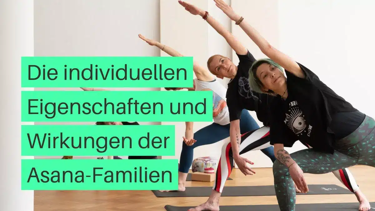 Die individuellen Eigenschaften und Wirkungen der Asana-Familien