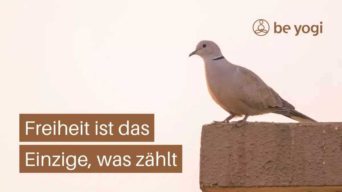 Freiheit ist das Einzige, was zählt