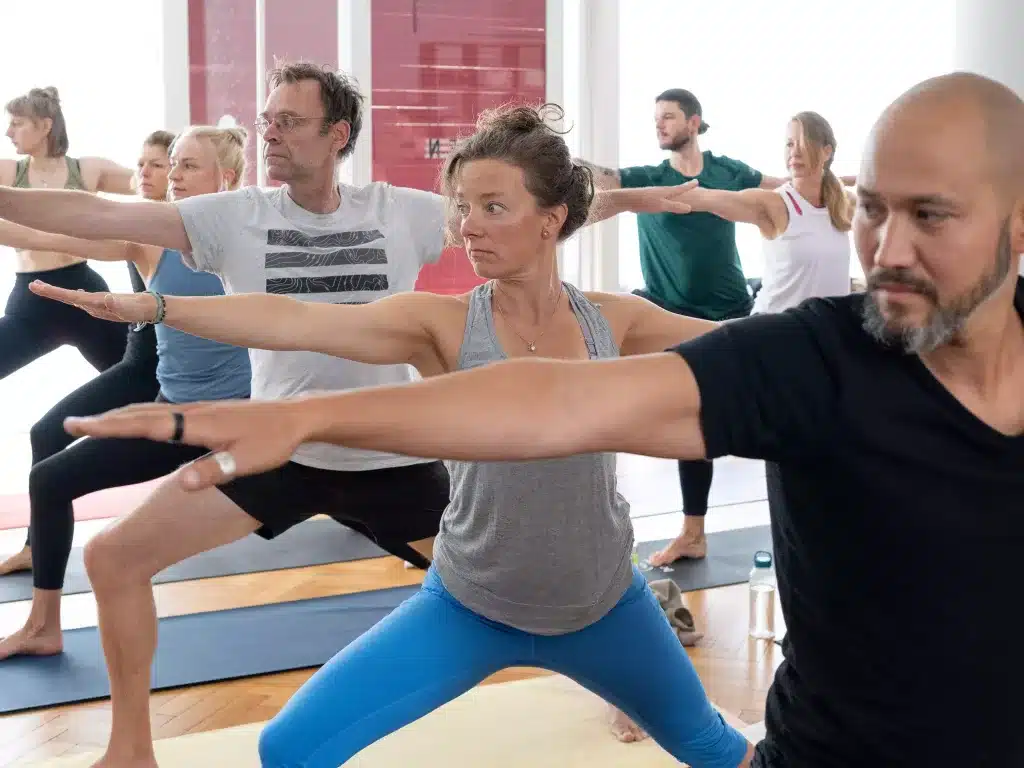 yoga-klasse-karlsruhe-beginner-fortgeschritten-hatha-vinyasa-be-yogi-yoga-ayurveda-02
