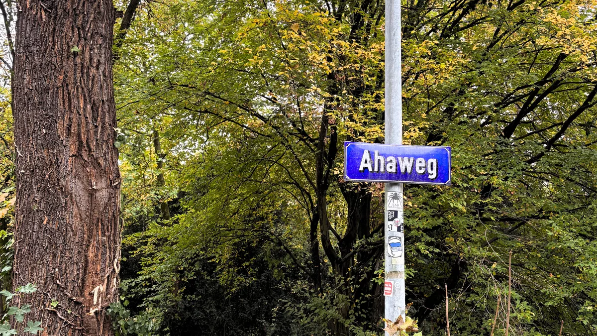 Folge-deinem-Ahaweg-Ein-Spaziergang-zum-Ende-des-Jahres-Be-Yogi-Artikel-Ayurveda-Yoga-Coaching-Karlsruhe