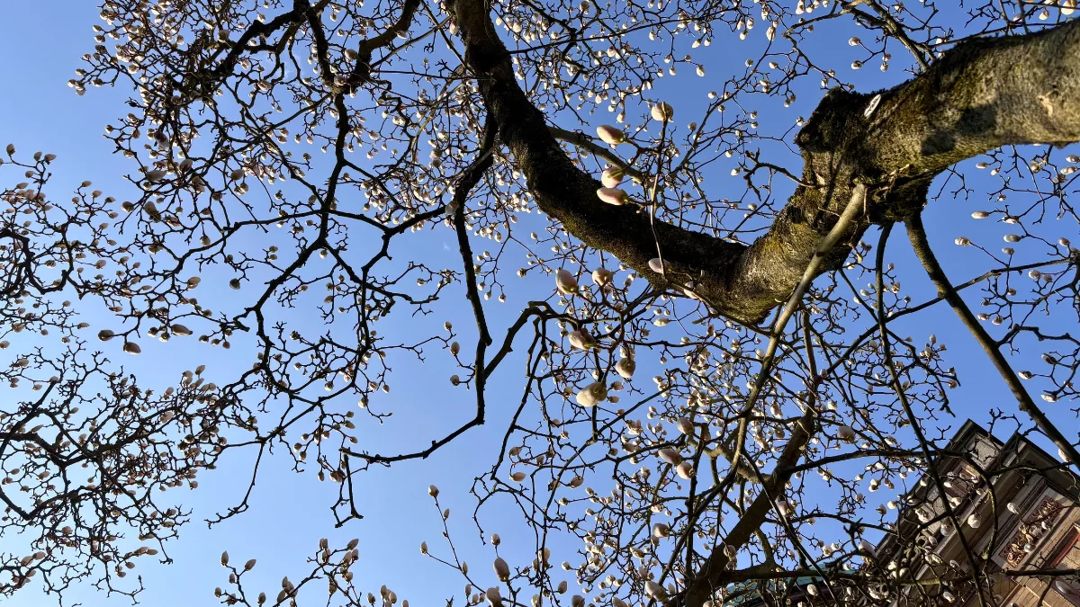 Wo die Erkenntnis wohnt: Aha-Momente brauchen Raum & Stille