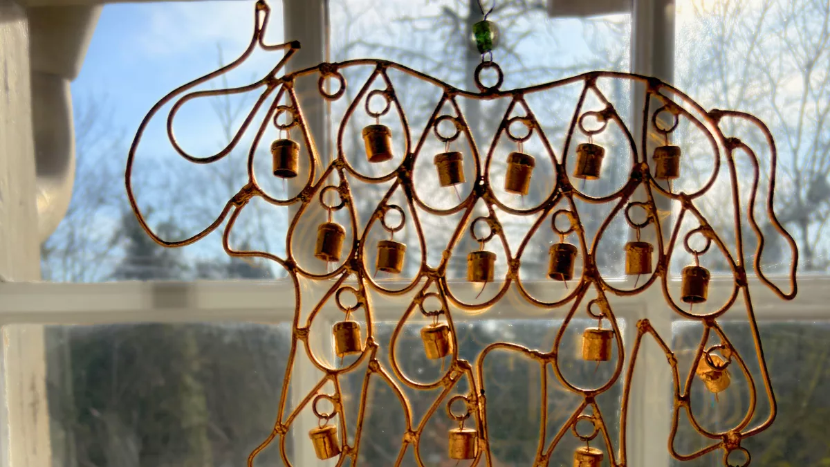 Wenn dein Körper eine Stimme hätte: Eine Einladung zum Dialog