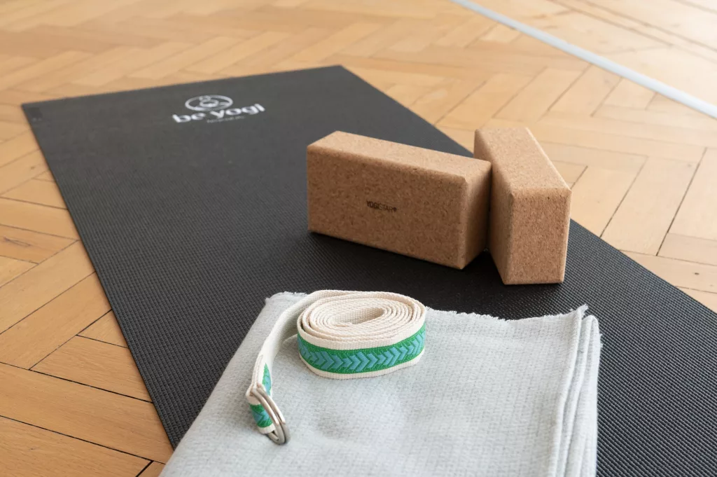 Yoga-Ausbildung-Kosten-200h-300h-500h-deutschland-karlsruhe-ytt-be-yogi-studio-campus-aya-zertifiziert