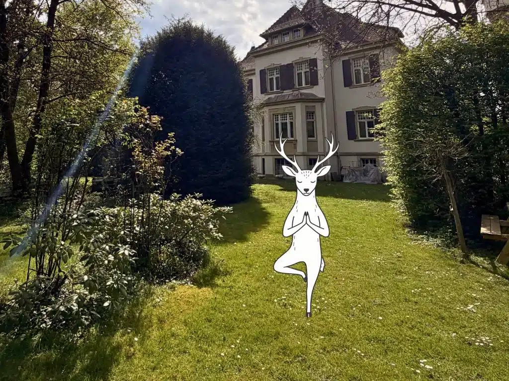 be-yogi-campus-ayurveda-yoga-coaching-karlsruhe-ahaweg-2-garten-outdoor-yoga-hirsch-baum